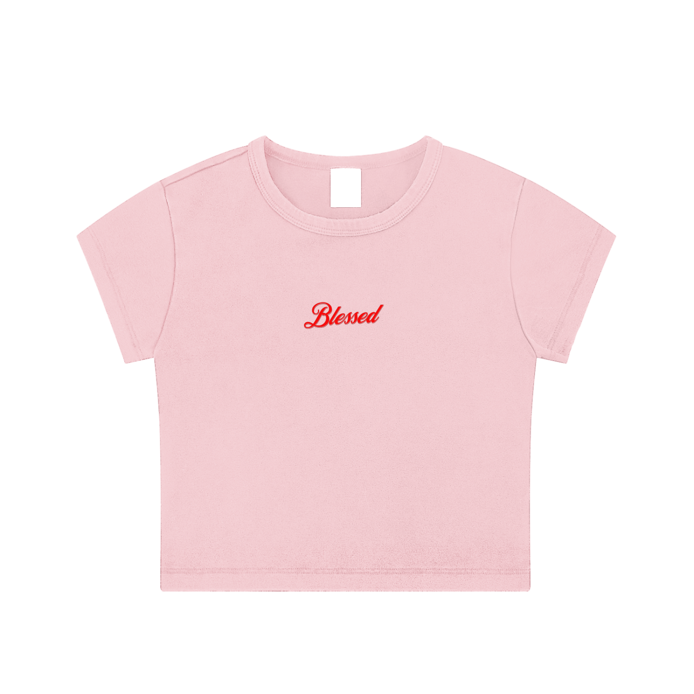 Snow Washed Crop Top